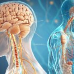 Hypoesthesie : definition, causes possibles et impact des deficits nutritionnels
